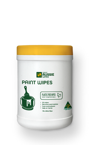 Paint Wipes